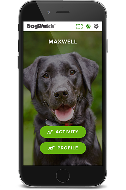 DogWatch of Austin and the Hill Country, Austin, Texas | SmartFence WebApp Image