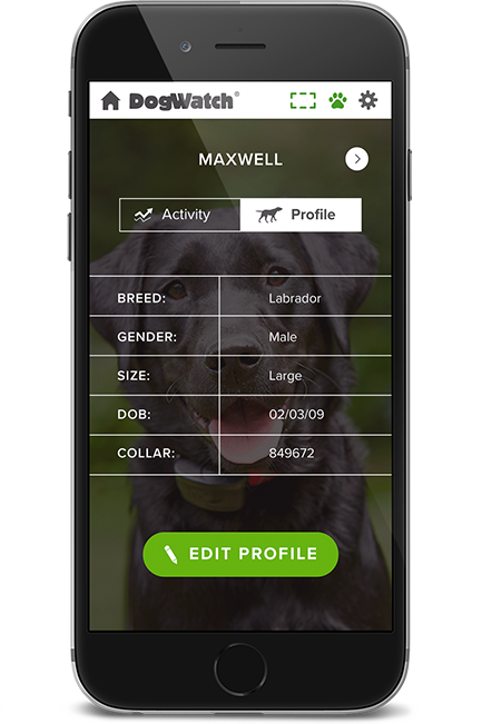 DogWatch of Austin and the Hill Country, Austin, Texas | SmartFence WebApp Image