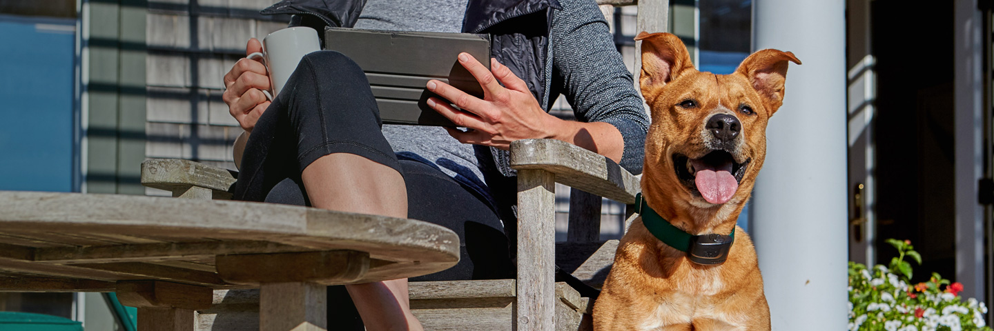 DogWatch of Austin and the Hill Country, Austin, Texas | ProFence Slider Image